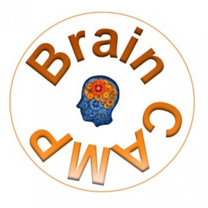 Brain Camp logo